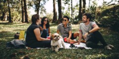 Group of people having a picnic with a dog on a field with thin trees in the background.