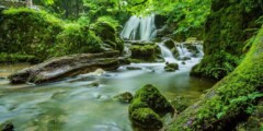 Waterfalls in forest