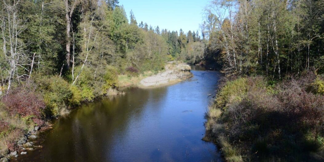 Who Saved the Tsolum River ComoxValley.News