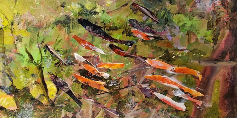 An artistic interpretation of salmon swimming upstream. The painting is as if you're standing on a riverbank looking in from above the water.