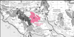 A black-and-white map of the tree farm licenses on Vancouver Island. Only TFL 39 north of Campbell River is in hot pink.