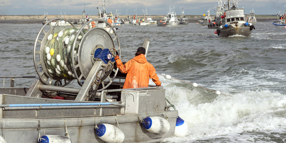 A fisher in a bright orange coat hauls fish in from a choppy grey ocean. Lots of other fishing boats float in the distance.