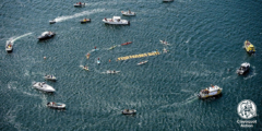 A drone shot of boats circling on the water around a floating sign that reads "Fish Farms Out."