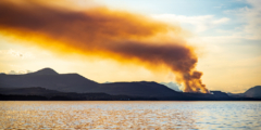 A forest fire burns in the distant sunset.