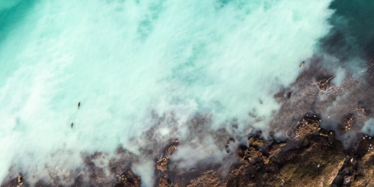 Aerial shot of herring spawning off Hornby Island, BC